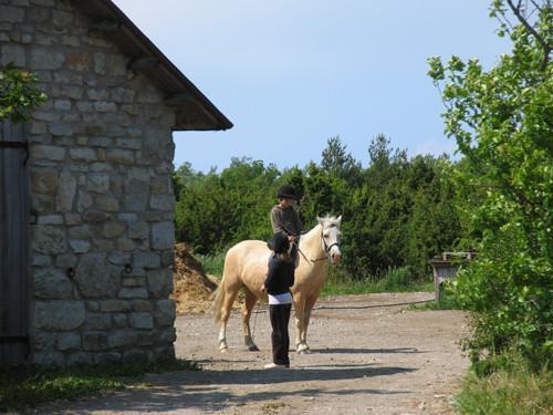 Horse-riding at Tika Farm