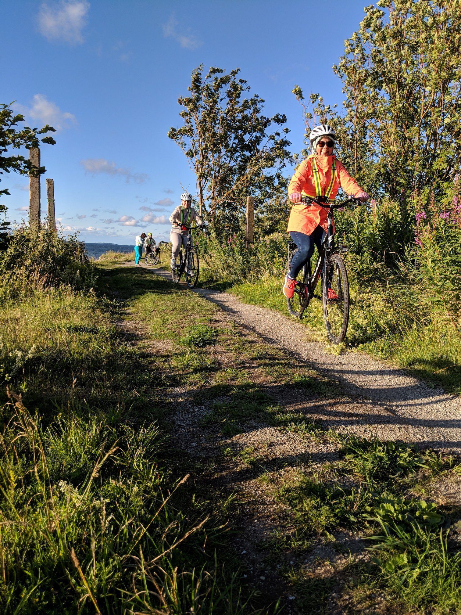 Waypoint Fahrradverleih und Fahrradtouren in Tallinn