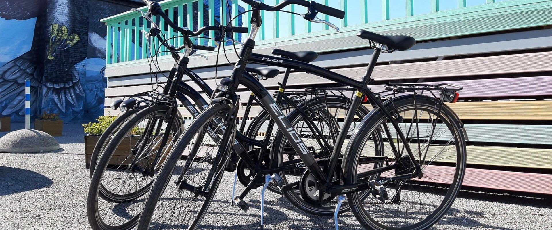 Waypoint Fahrradverleih und Fahrradtouren in Tallinn