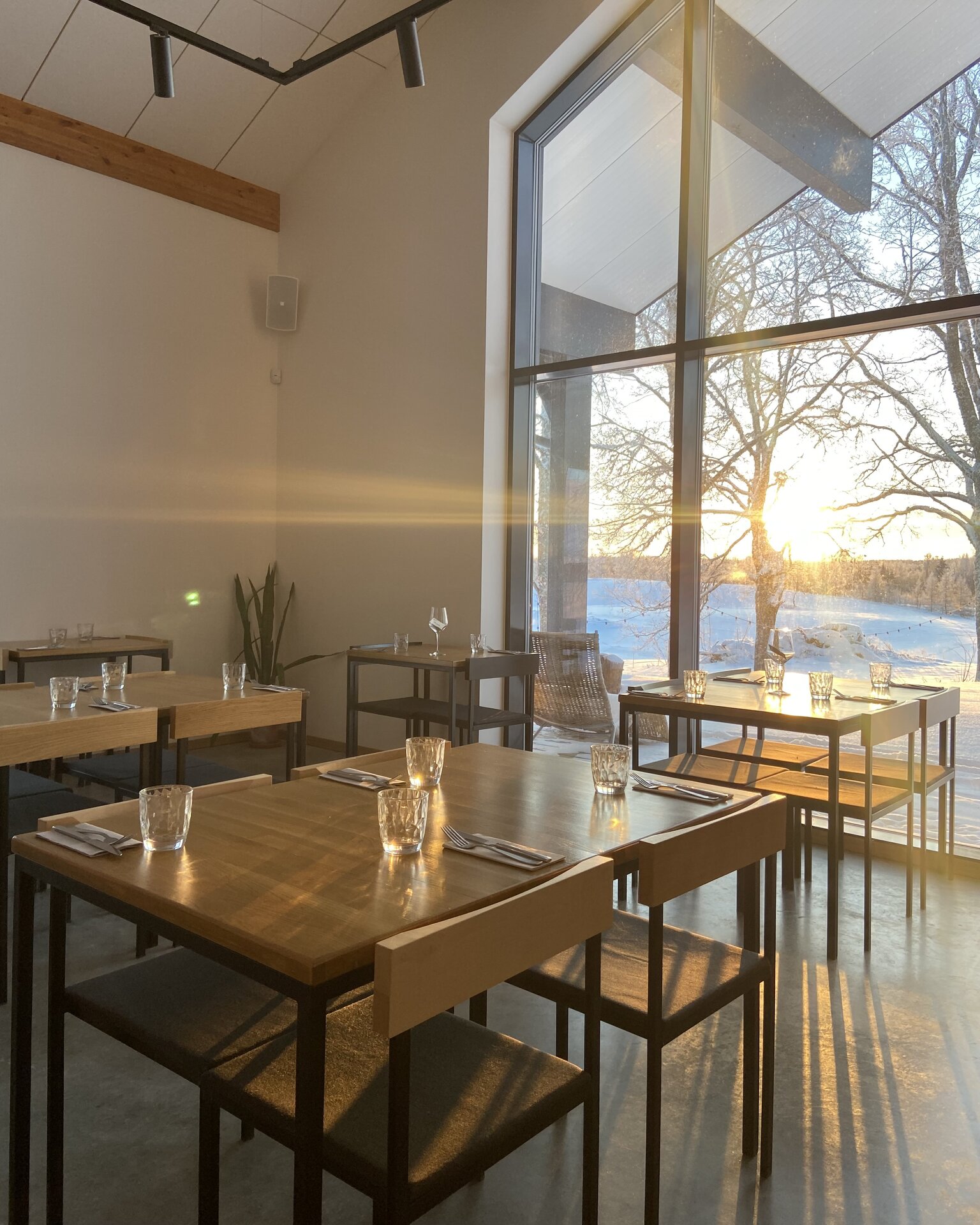 Interior of the restaurant KODAS