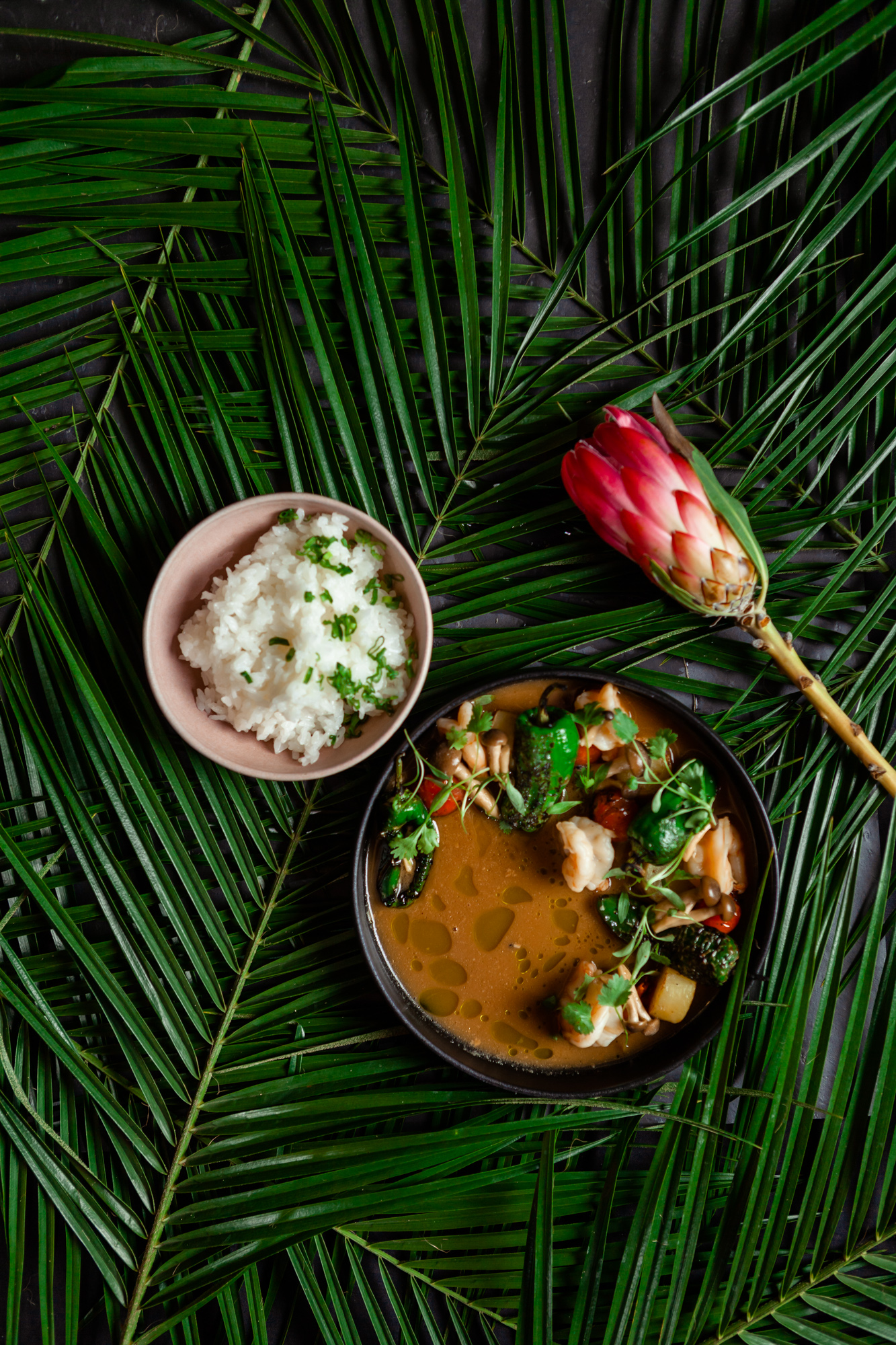 Parrot Hot Pot mit Shrimps