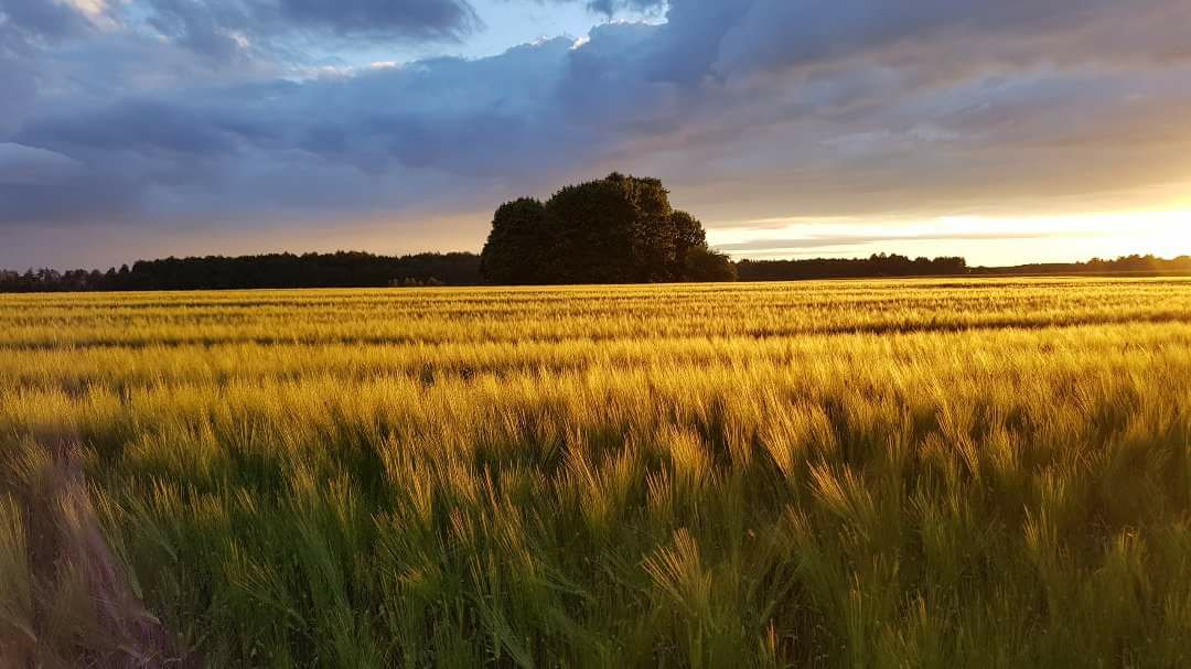 Karu puhkemaja