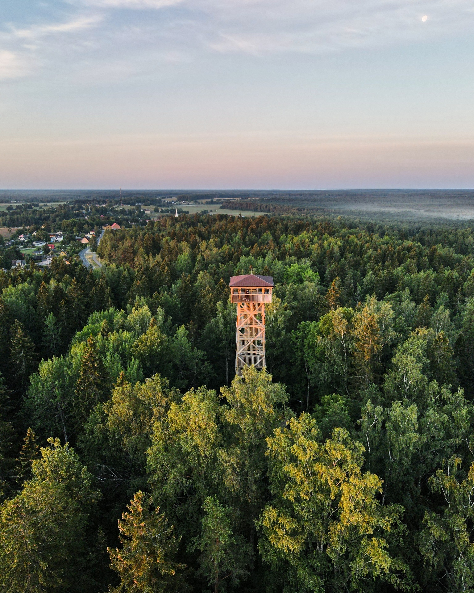 Iisaku (Tärivere) mäe vaatetorn, puhkekoht ja maastikukaitseala