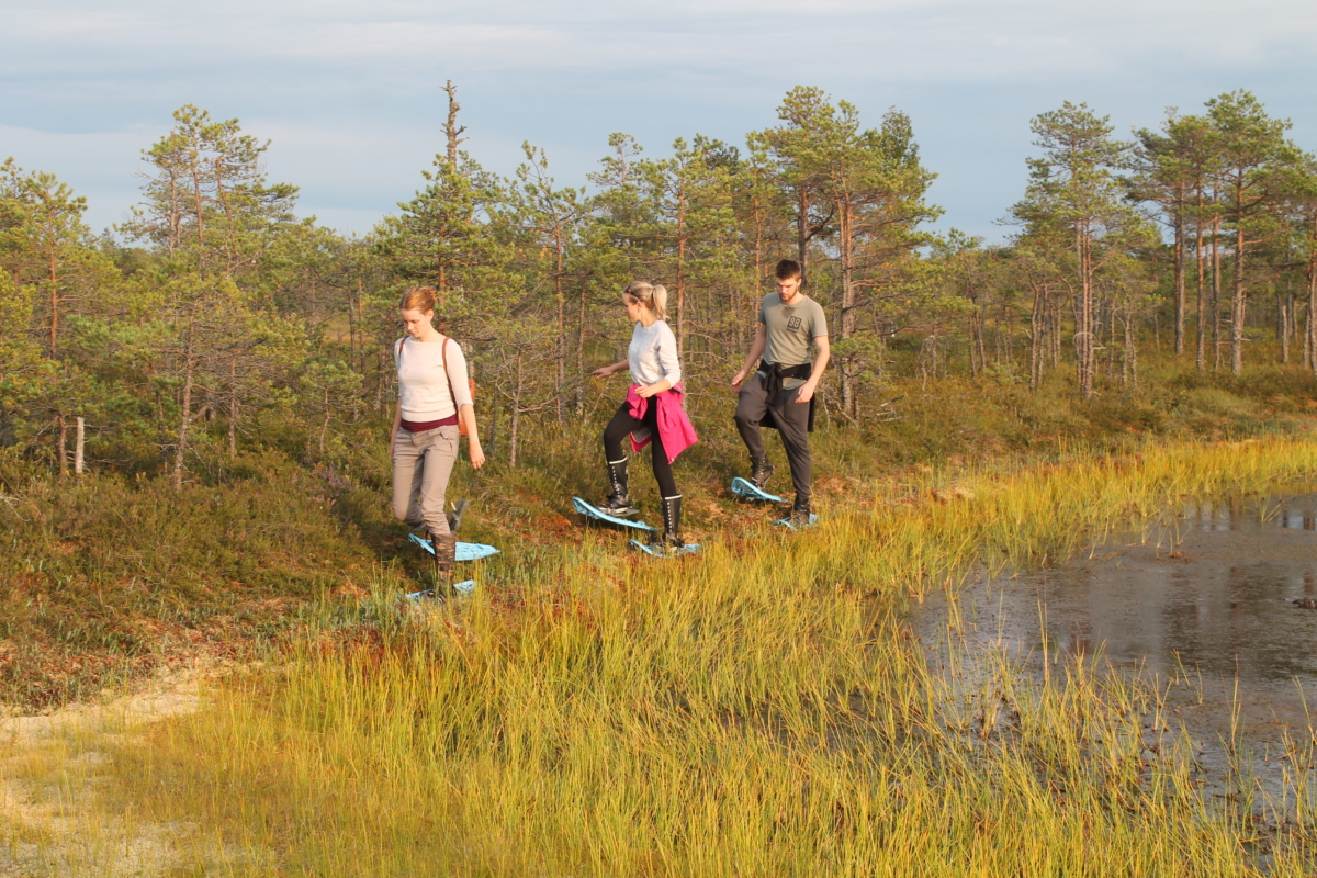 Ein Tag im Tierpark Elistvere, in Vooremaa und im Hochmoor Männikjärve