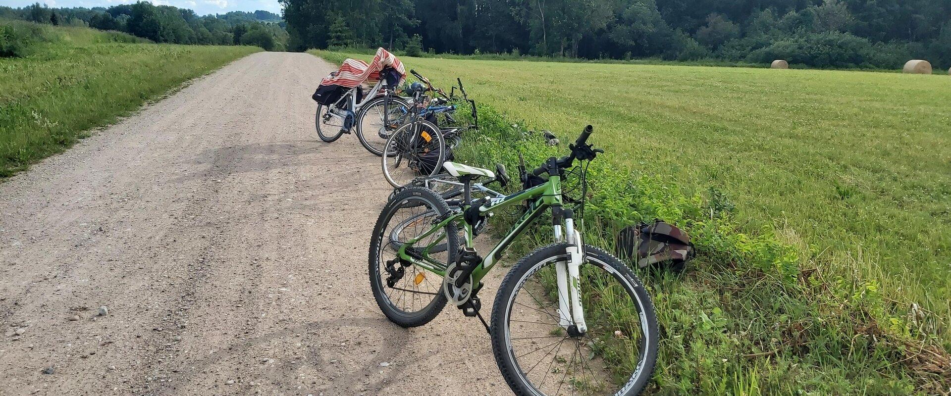 Pyöräilyretket vievät Mulgimaalle löytämään yritteliäitä ihmisiä ja mielenkiintoisia paikkoja. Aloitamme retken Viljandista Vihreitä Kiskoja (Rohelise