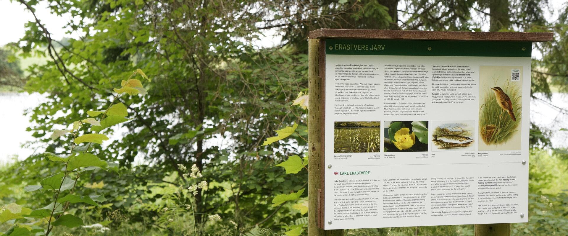 Erastvere järve ujumiskoht
