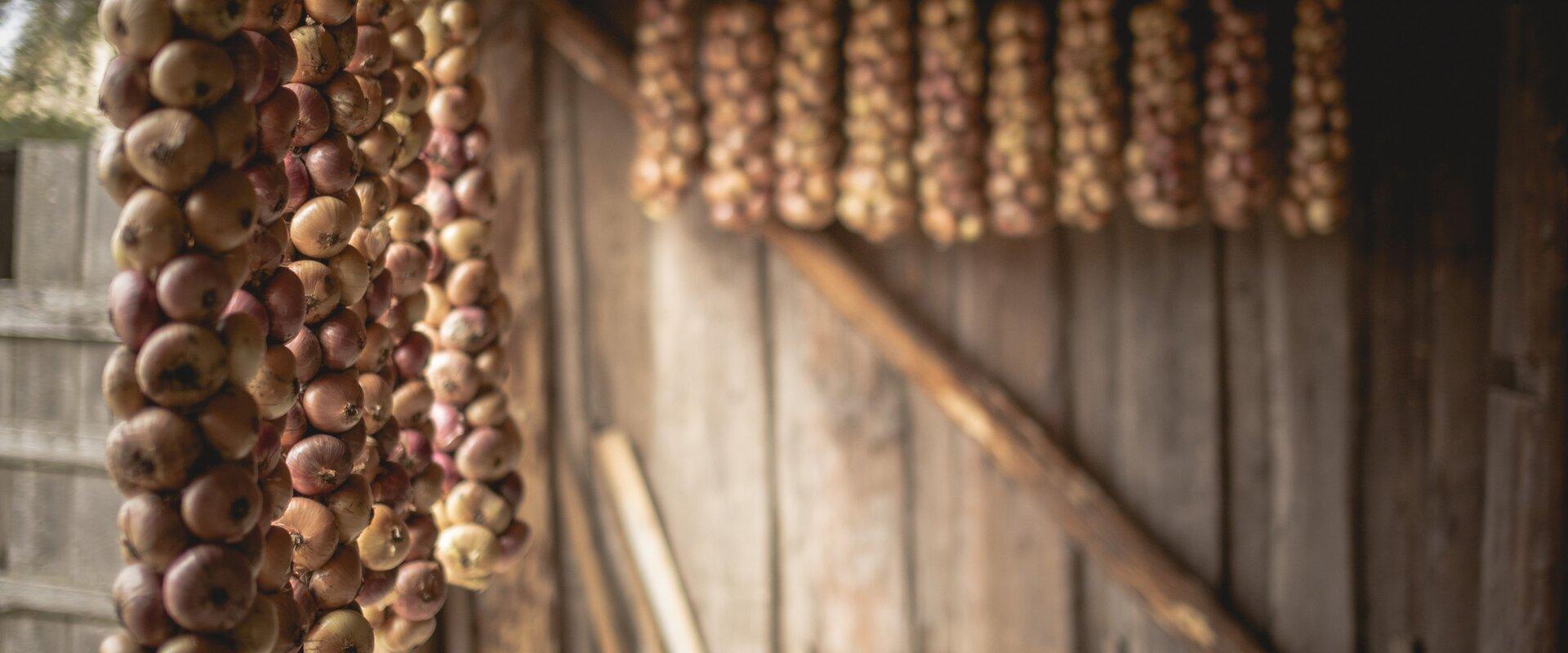 Golden onion braids hung in the barn that passersby can take home