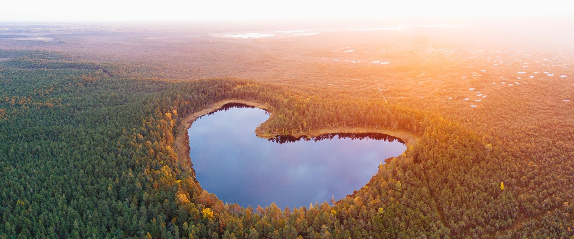 The trail at Lake Parika Väikejärv is famous for its heart-shaped bog lake. The trail runs through the forest and rises to the brink of the bog, where