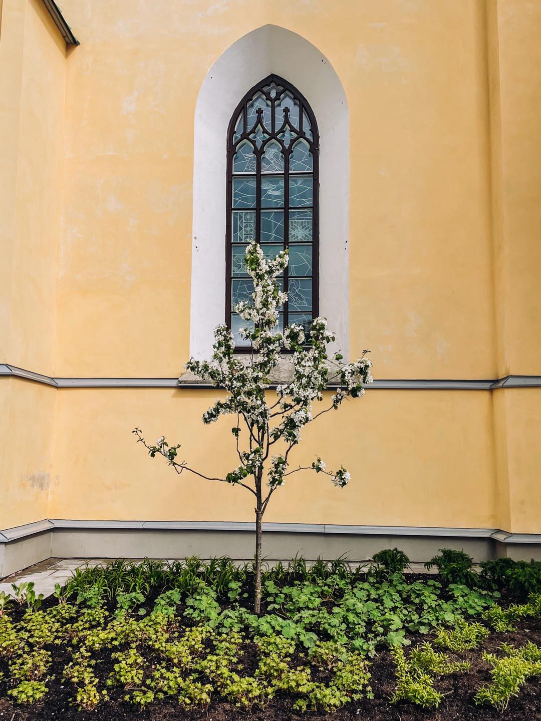 Buntglasfenster der Johanneskirche in Tallinn