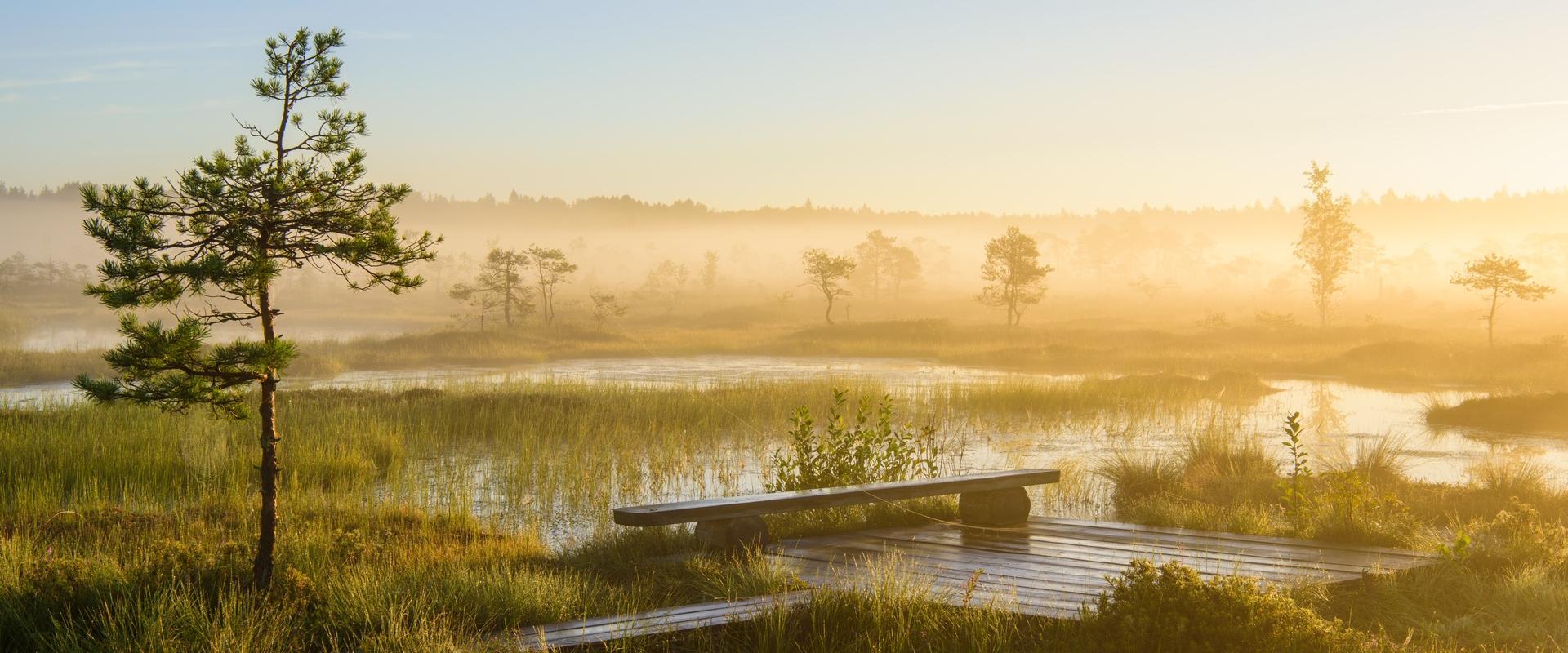 Ingatsi Nature Study Trail