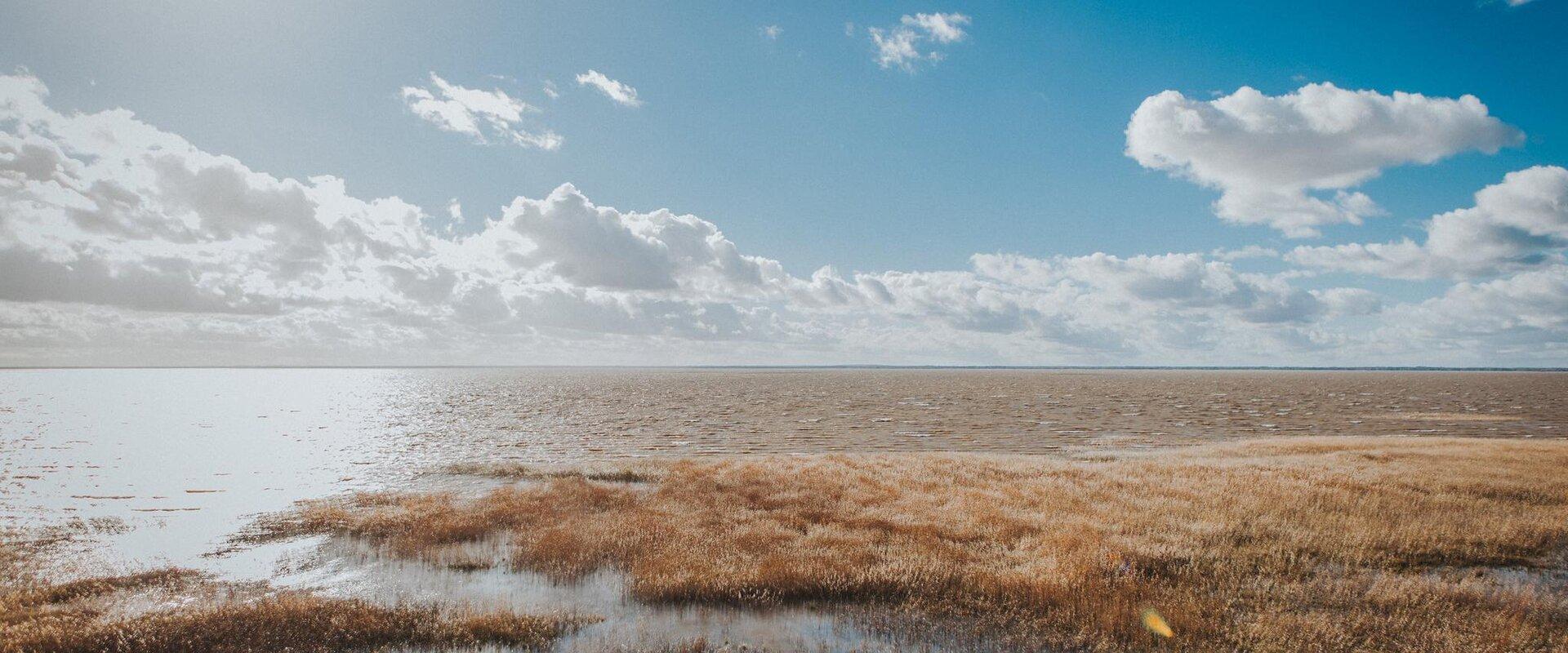 Lake Võrtsjärv is the largest inland water body in Estonia. Both the visitors centre on the northern shore and the rest areas around the lake offer be