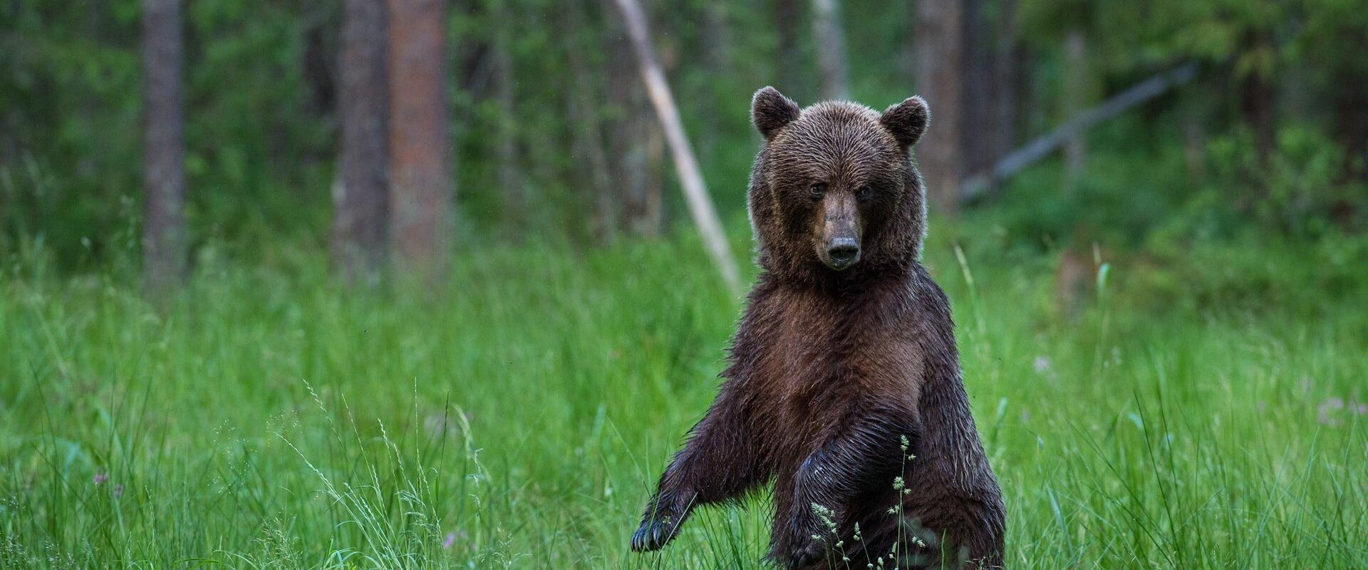 Loodusreis 'Metsik Eesti'