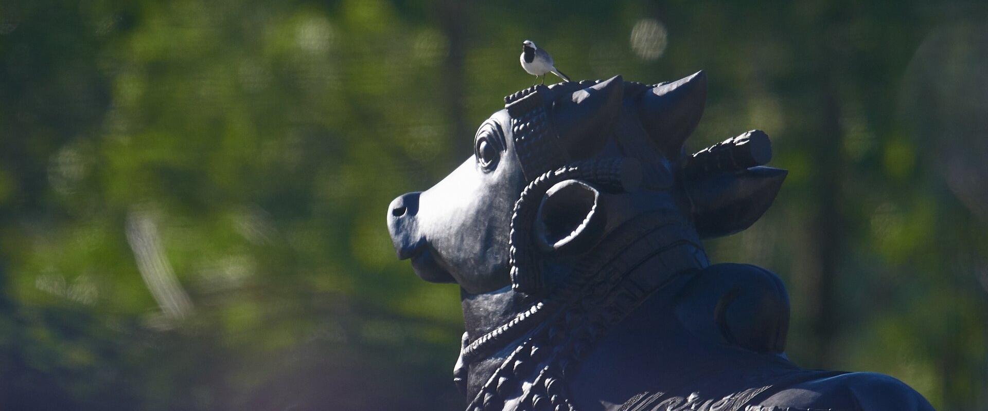 Lilleoru Nandi