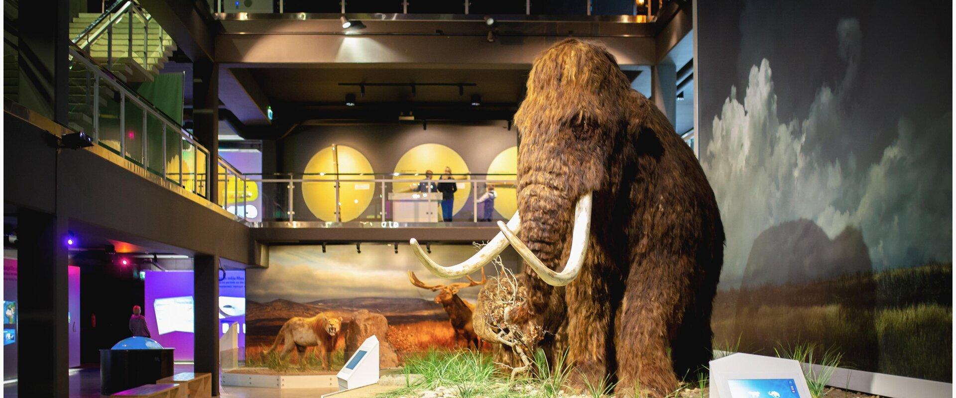Jääaja Keskus on põnev elamuskeskus, mis räägib elust pärast viimast jääaega. Kaasahaarava keskuse sümboliks on 10 000 aastat tagasi elanud mammutid. 