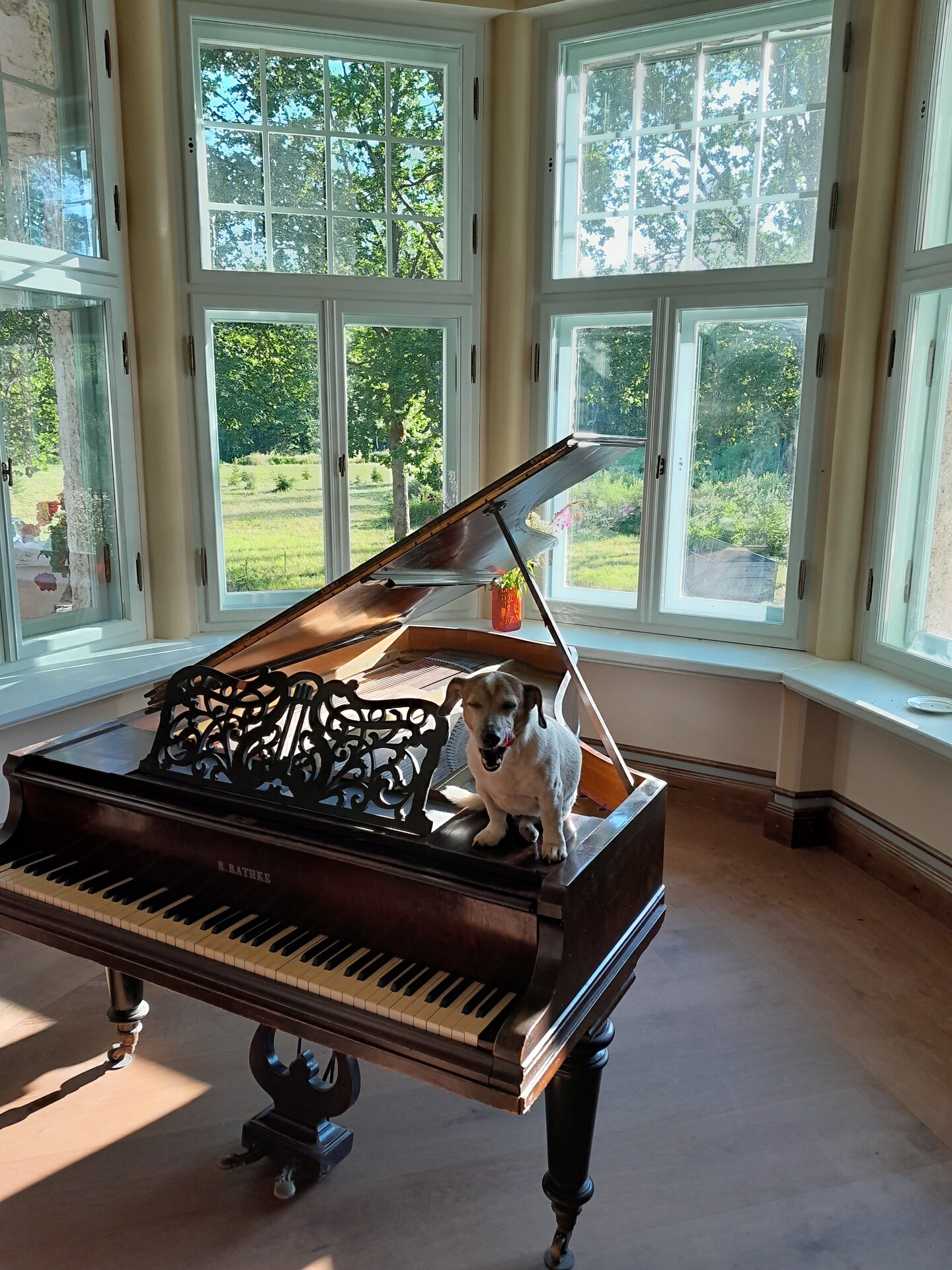 Viron kansallinen pianomuseo