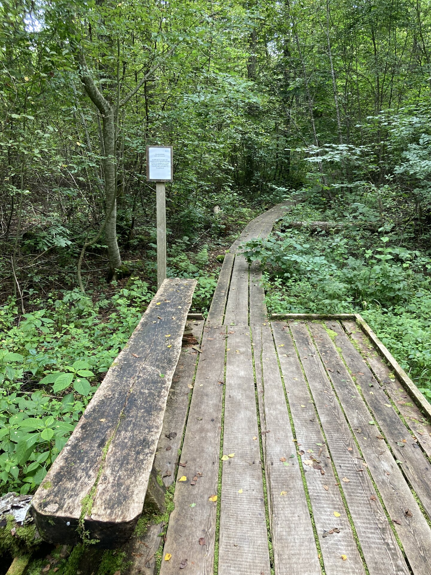 Elistvere study trail has several observation platforms