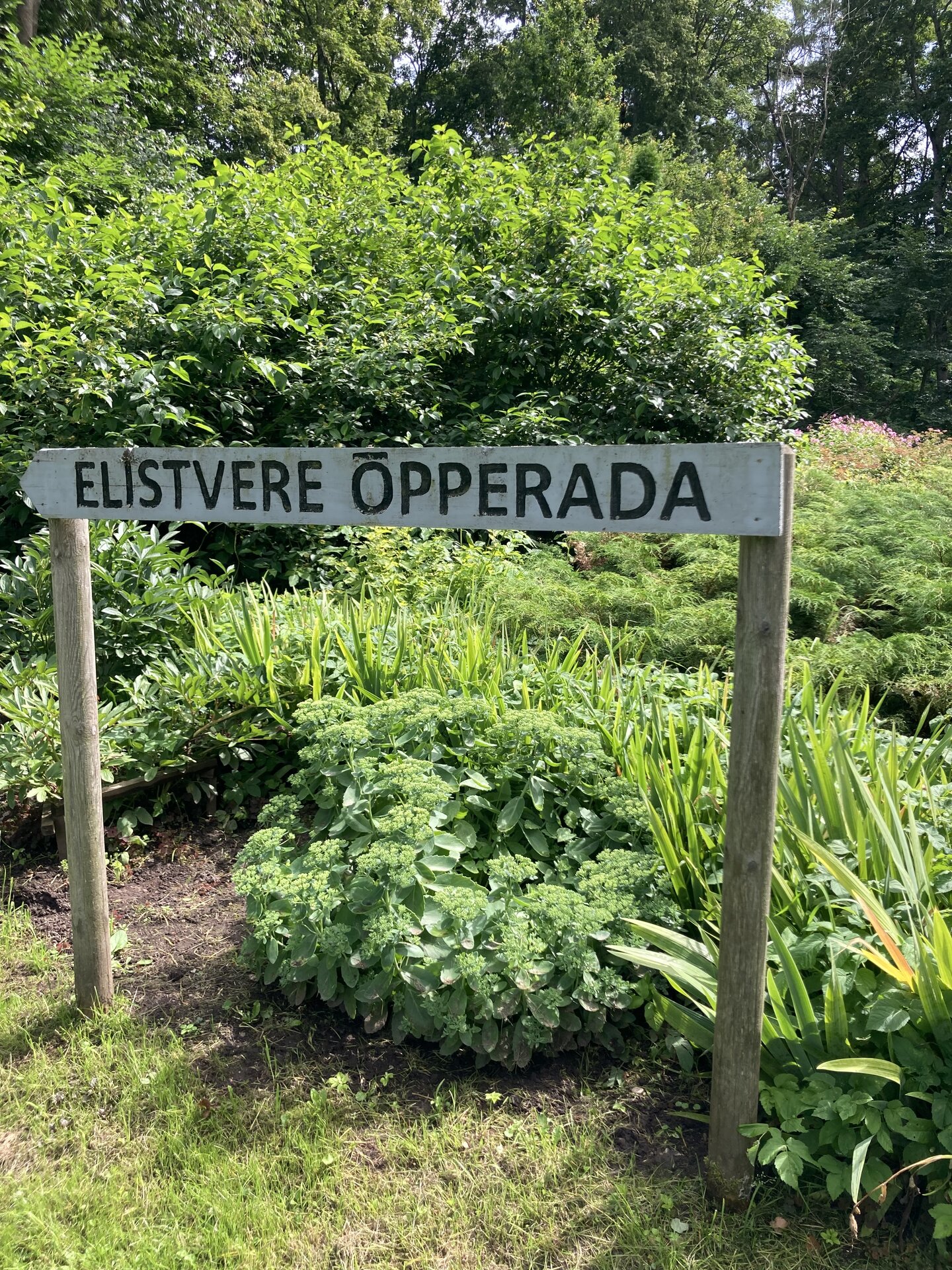 The study trail starts behind the lynx's enclosure