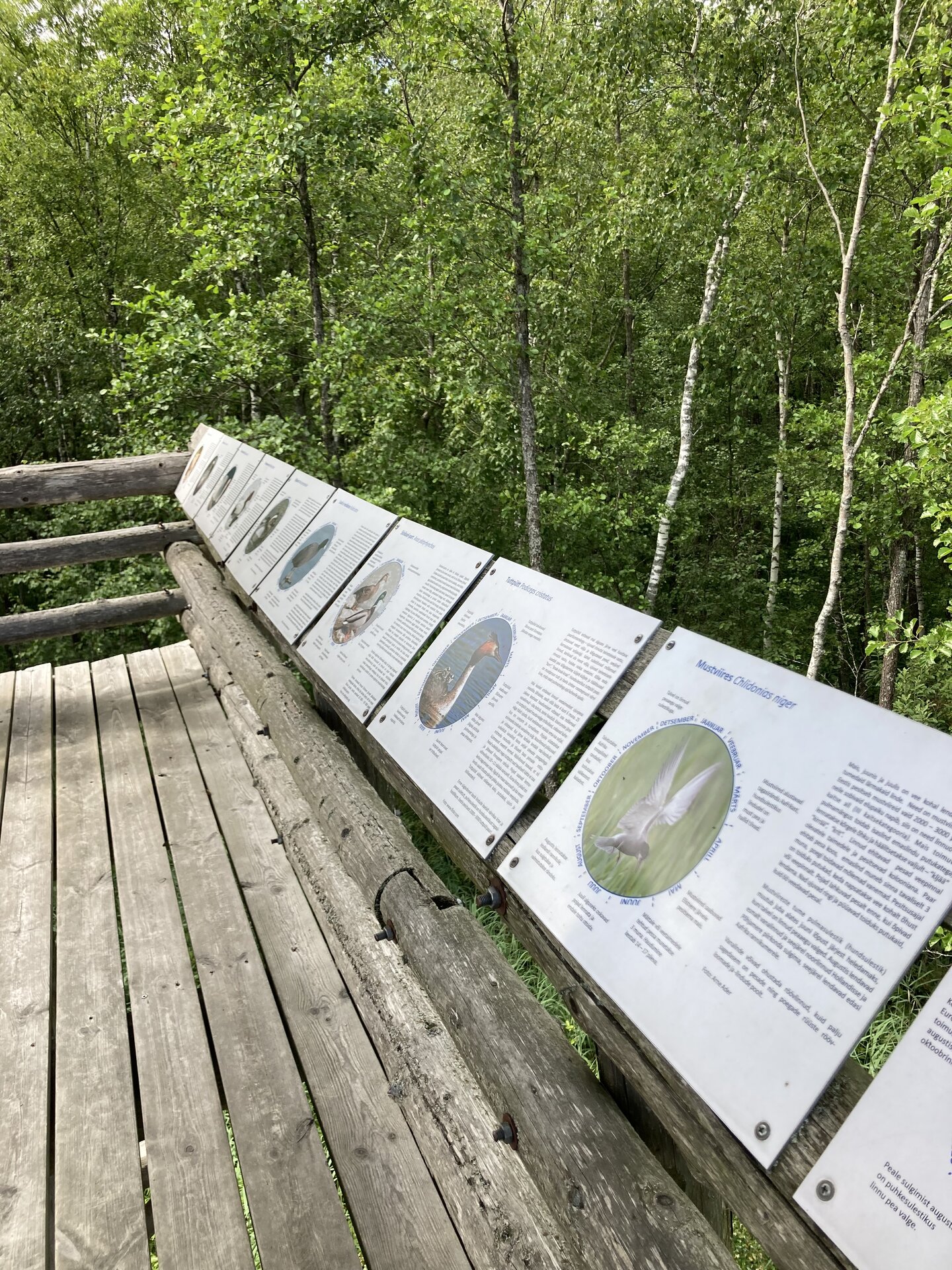 The information board of the observation tower at the lake includes bird information as well