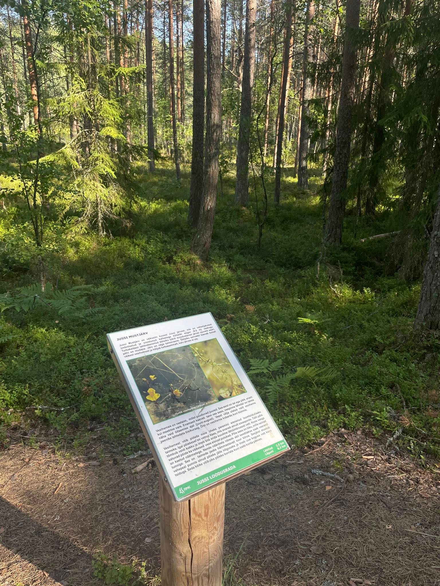 Jussi nature trail
