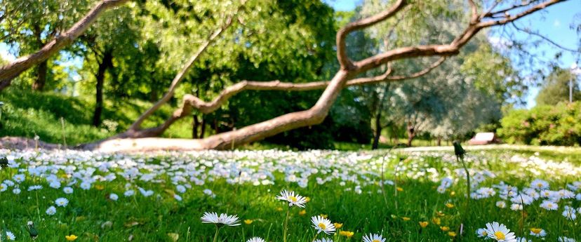Rakvere Supeluse park