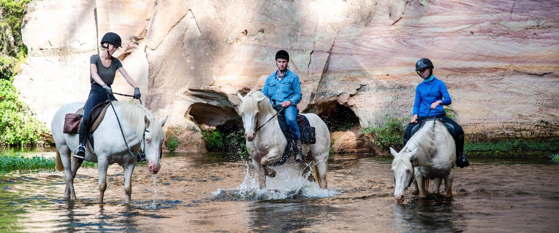 A picturesque horse-riding hike takes you to the sacred Taevaskoda outcrops, the exciting Mõtsküla forest, or the enchanting Akste ant kingdom. In Tae