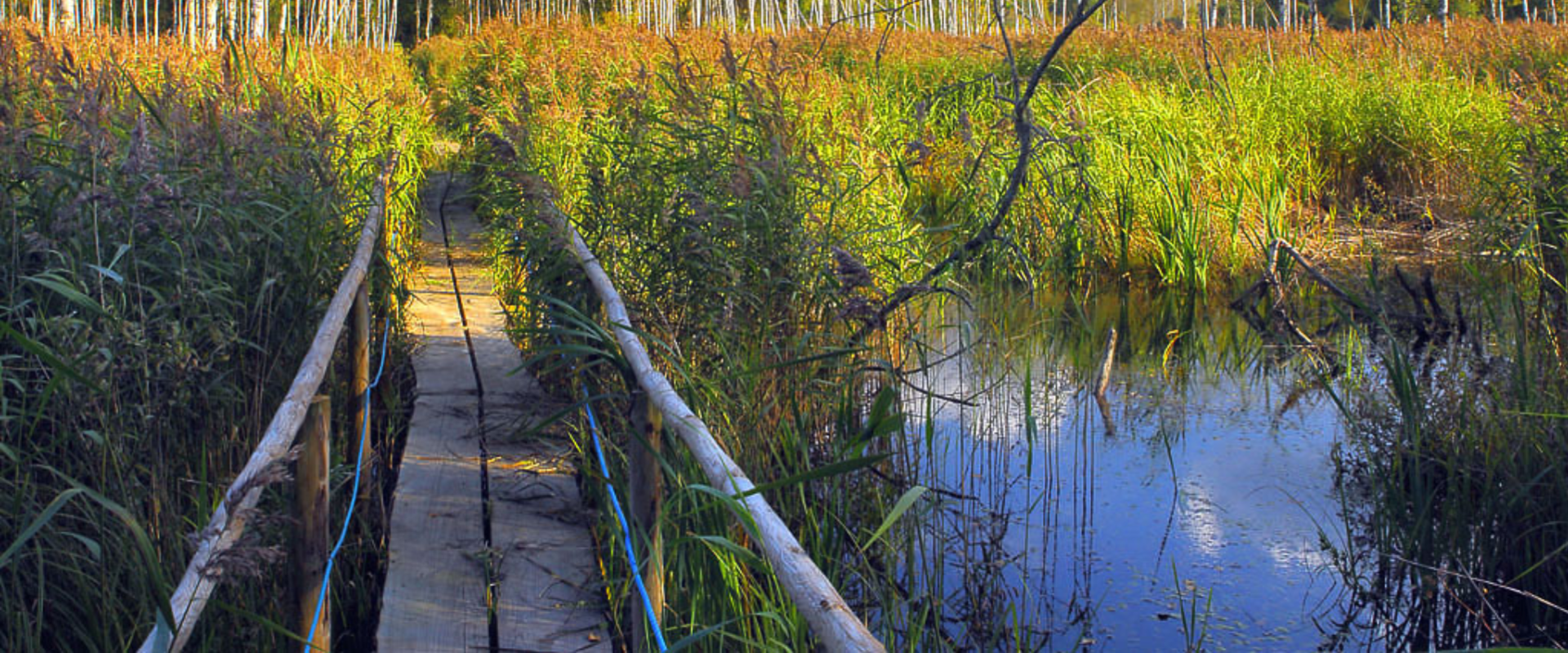 Rebäse landscape trail