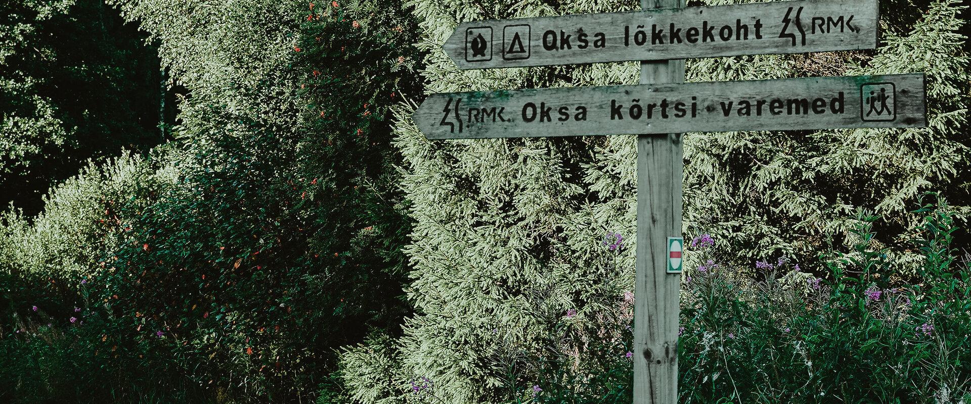 Oksa oak meadow and resting place at Soomaa