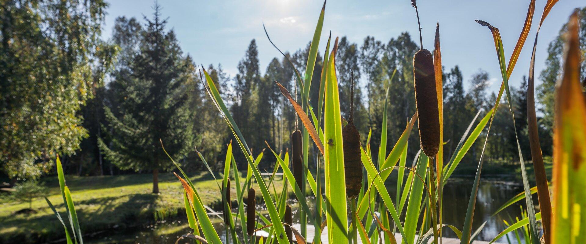 Vana-Veski Puhkekeskus