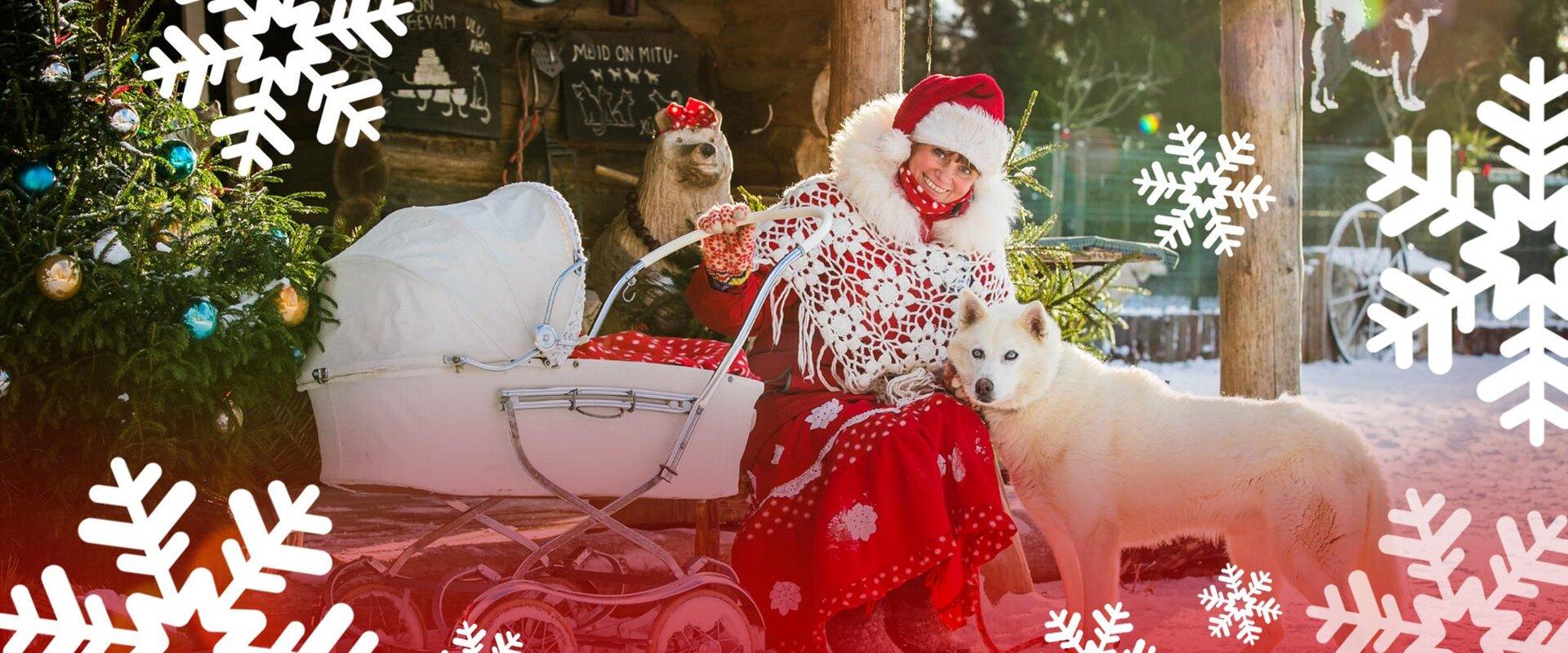 Huskypargi kelgukoerte jõulumaa