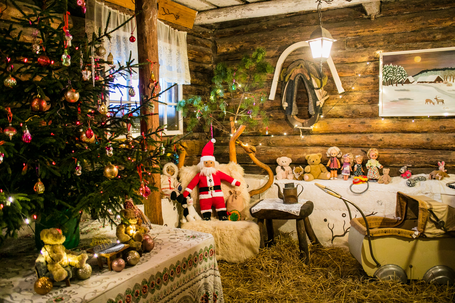 Huskypargi kelgukoerte jõulumaa