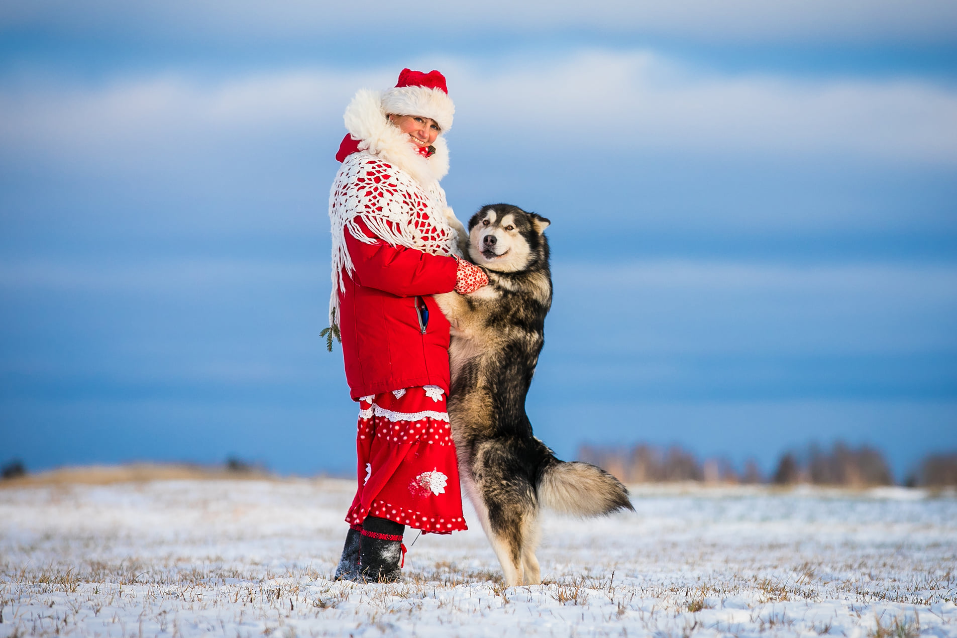 Huskypargi kelgukoerte jõulumaa