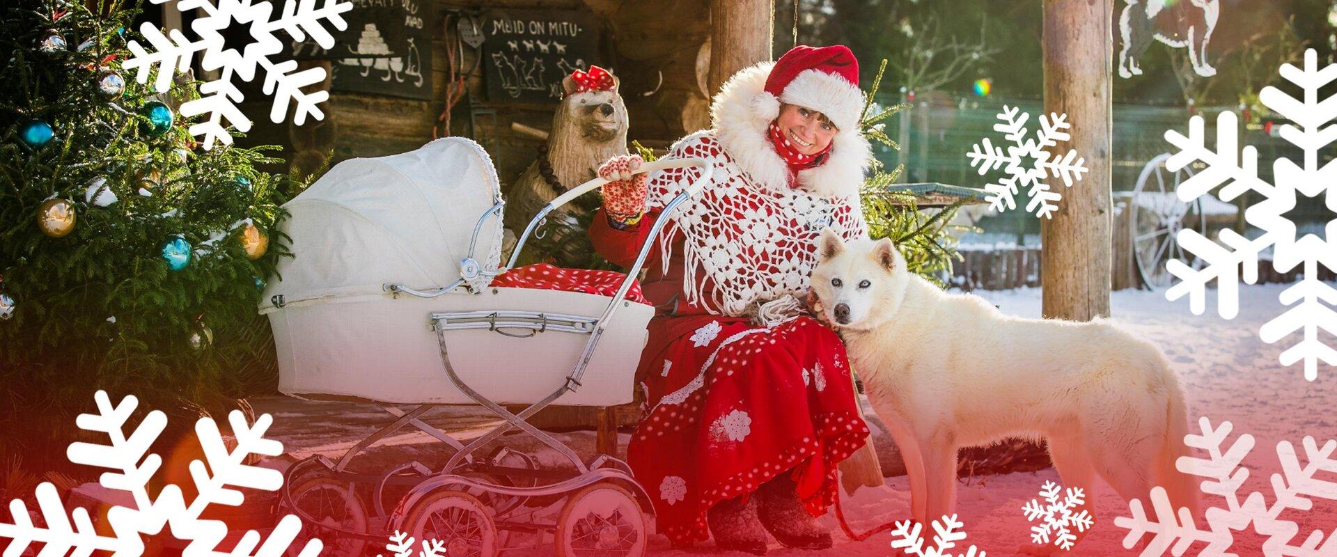 Huskypargi kelgukoerte jõulumaa