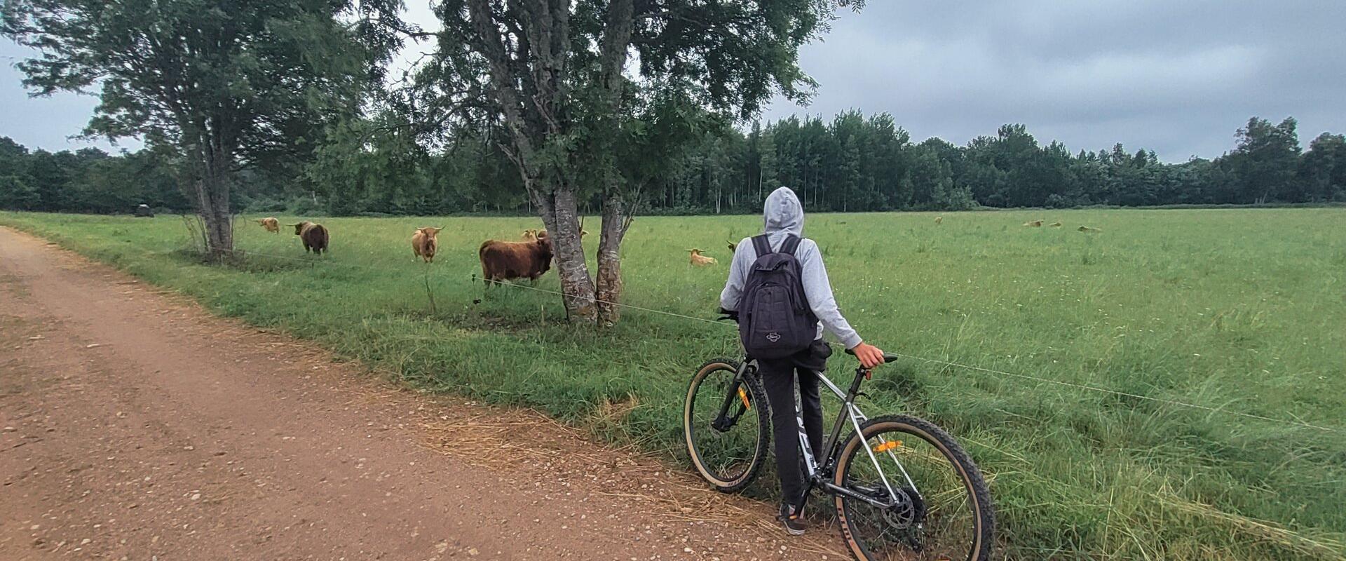 Kultuurireis auto või jalgrattaga Mulgimaale