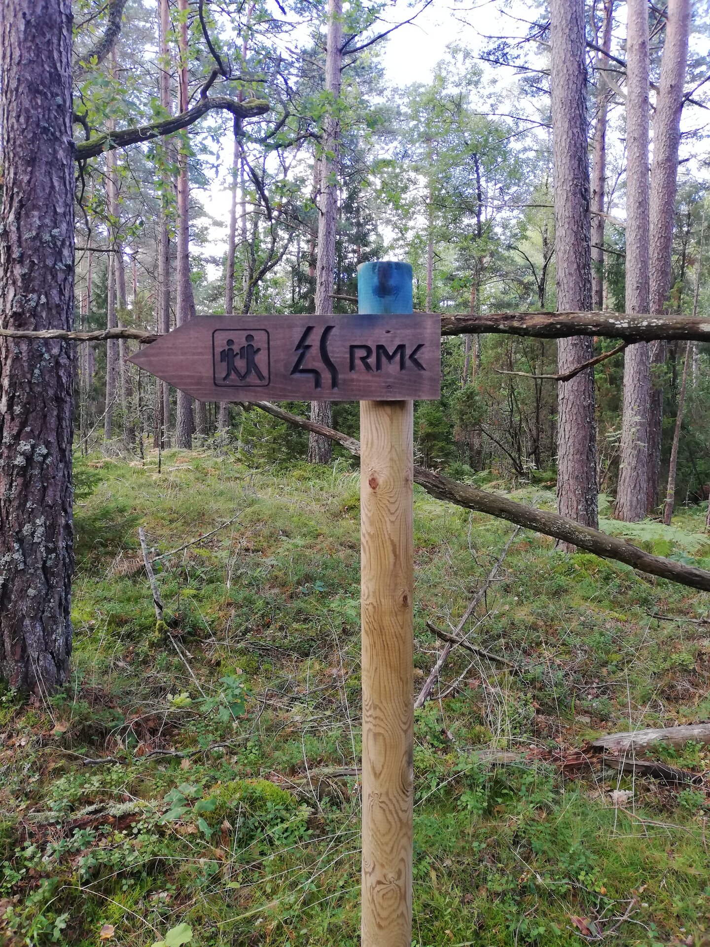Allikasoo study trail, marking