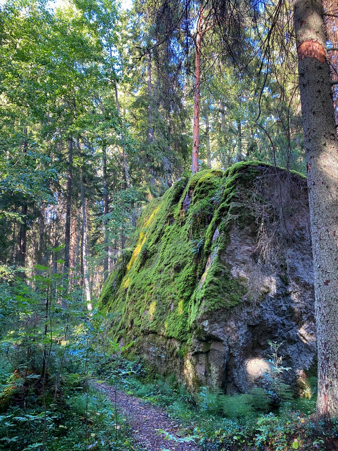 RMK Ojakivi matkarada