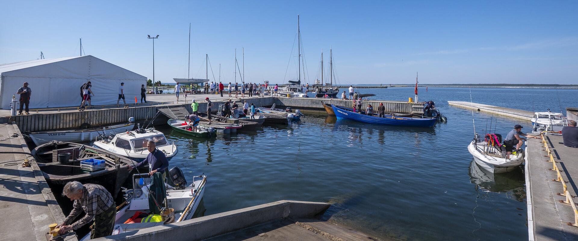 Tuulekala festival