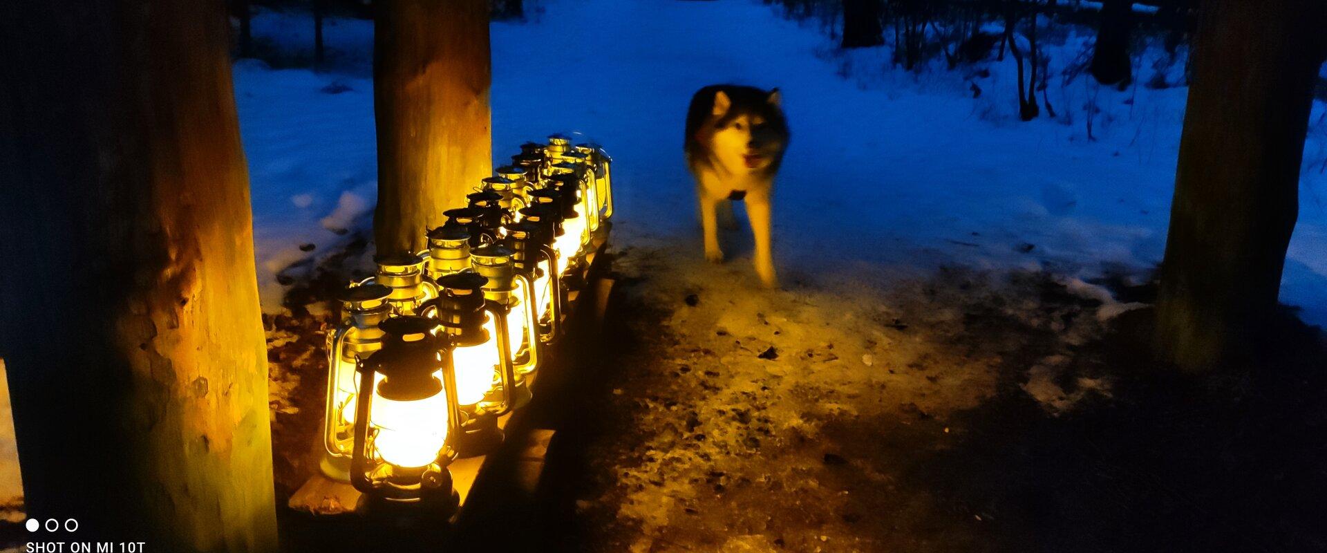 Lantern hike in pristine nature and campfire night