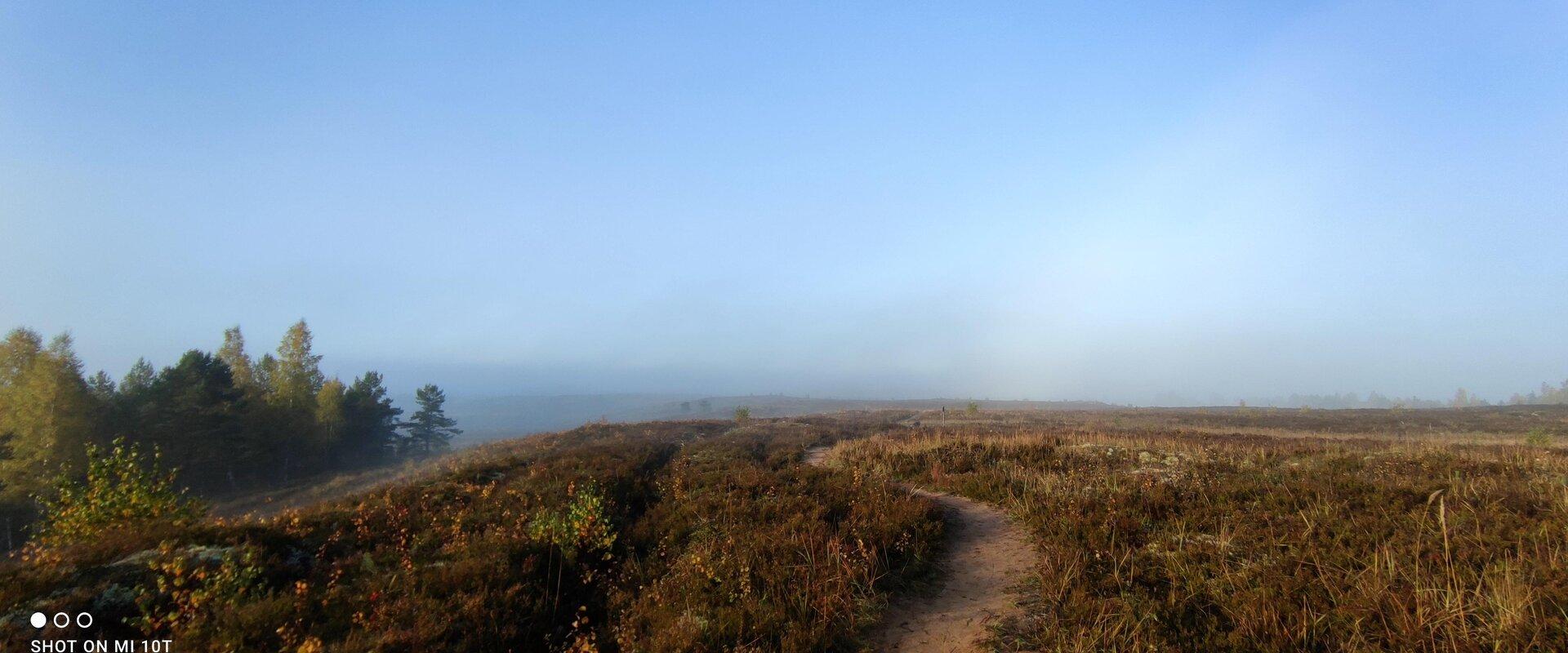 Day trip with a guide to Kõrvemaa, misty bog