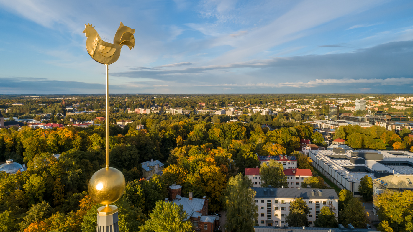 St. Mary’s Church in Tartu