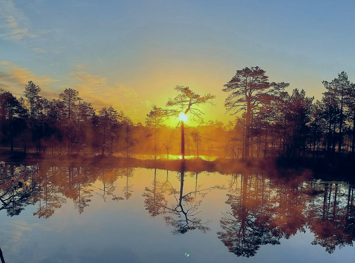 Day trip with a guide to Kõrvemaa, sunrise in the bog