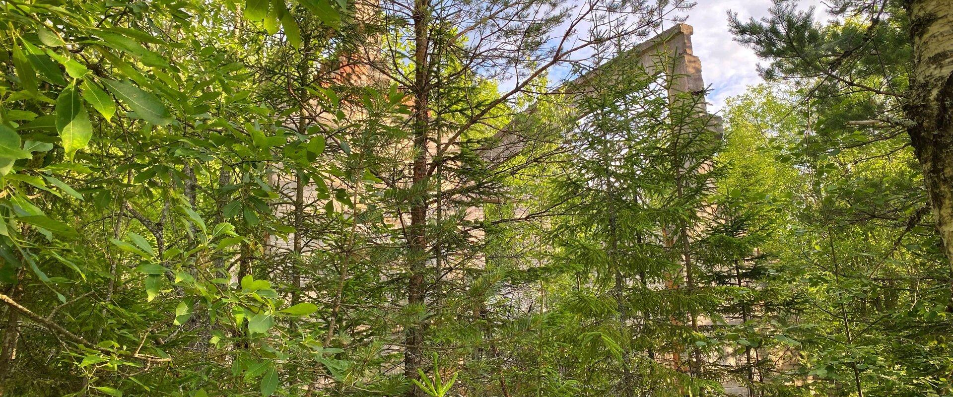 Kadila ja Rohu raketibaasid