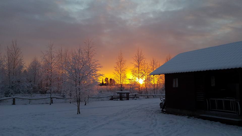 Seppami Talu koduloomade park