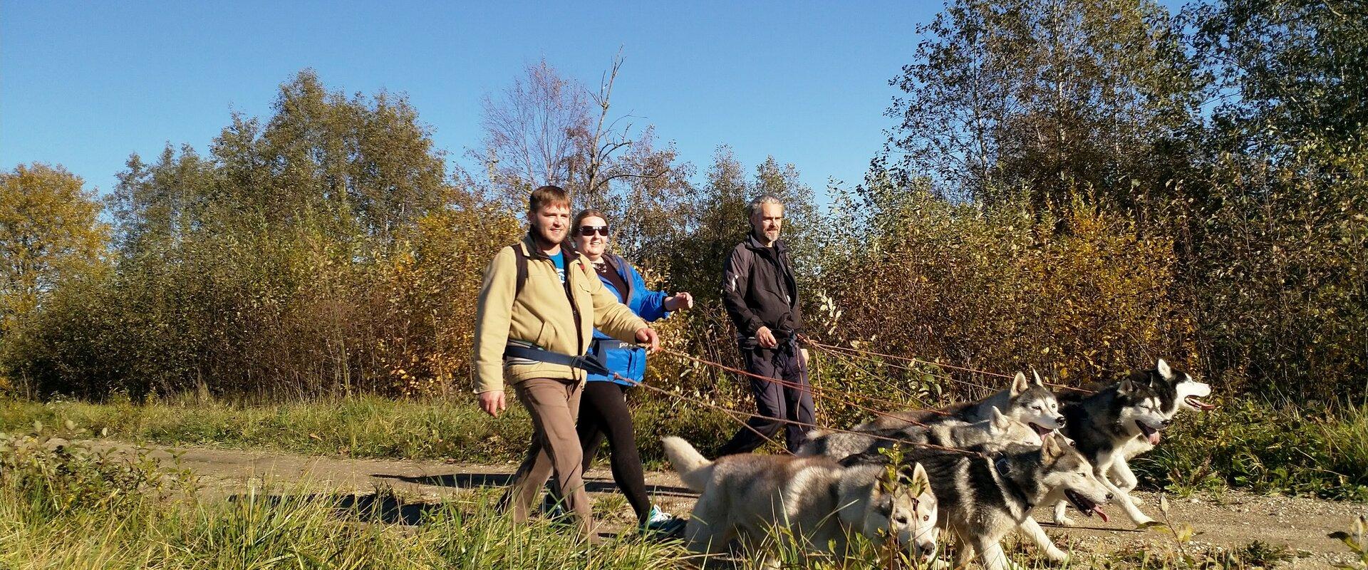 Tour to a Husky Park and a Cani-Cross Hike with Siberian Huskies