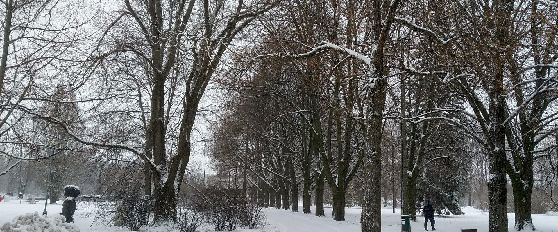 Winter's Tale - a walk in wintry Tartu