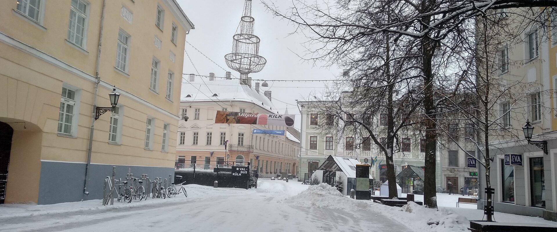 Winter's Tale - a walk in wintry Tartu