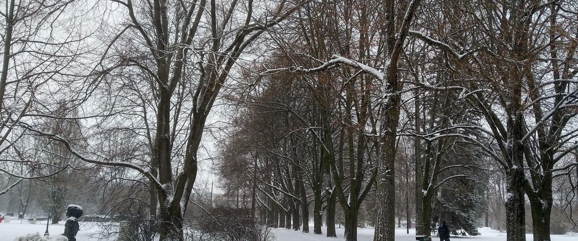 Talvevõlumaa - talvised Tartu pargid