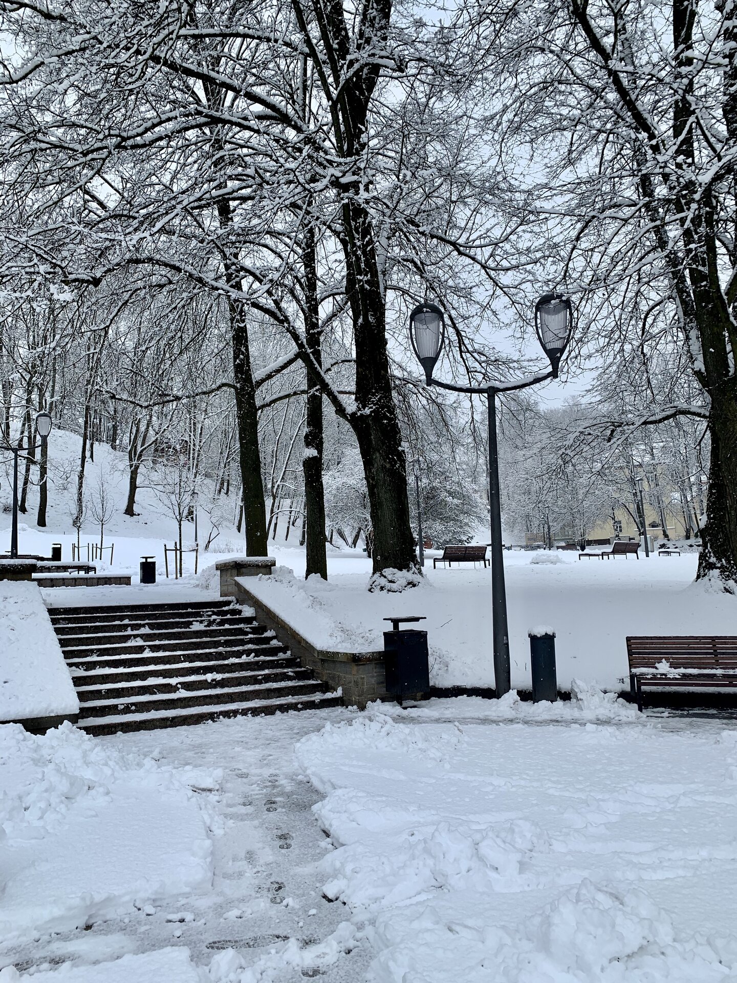 Snowy Pirogov Park