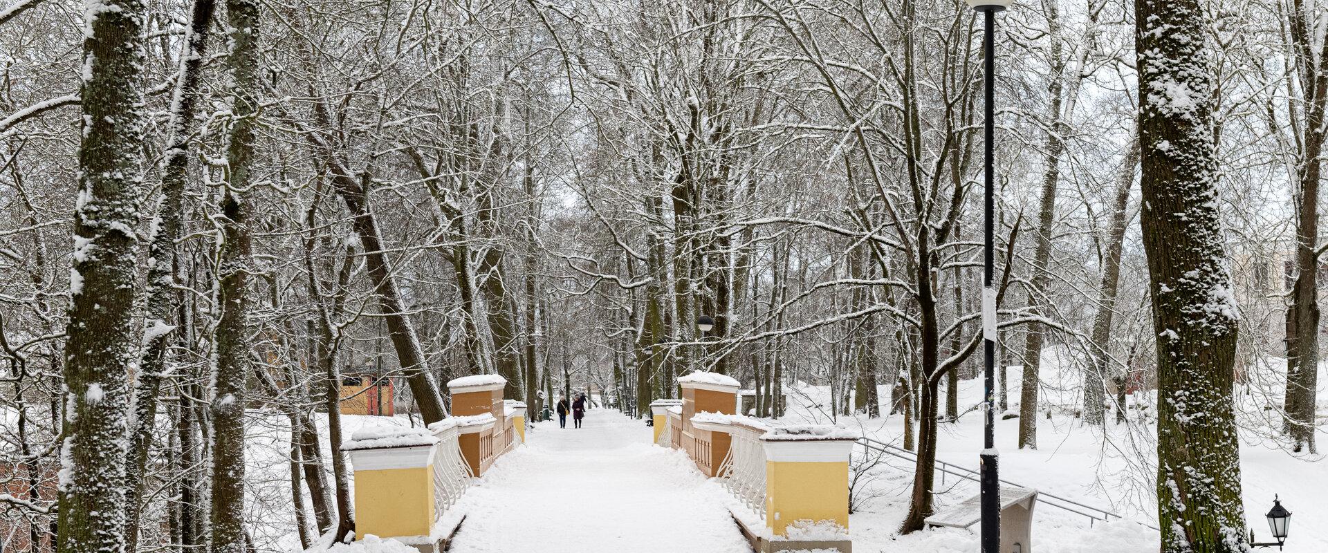 Engelsbrücke in Tartu