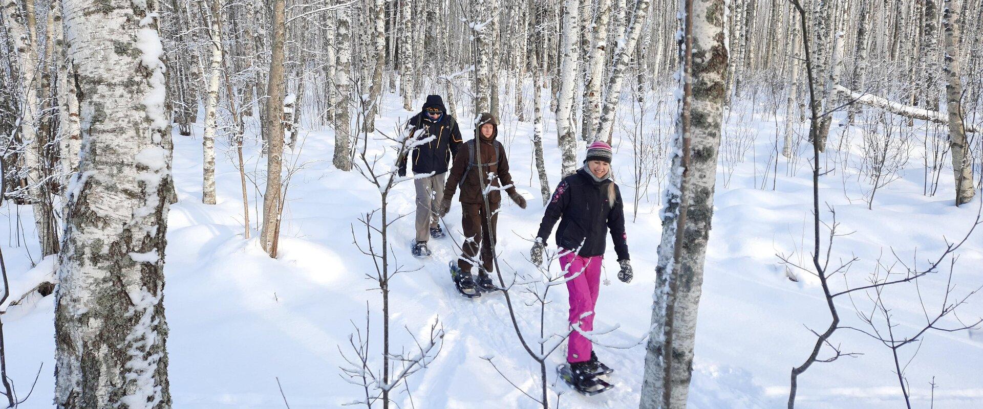 Nature Tours Estonia snowshoe trip to the bog islands of the Peipsiveere Nature Reserve