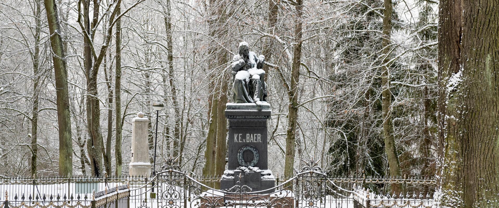 Das Denkmal für Karl Ernst von Baer